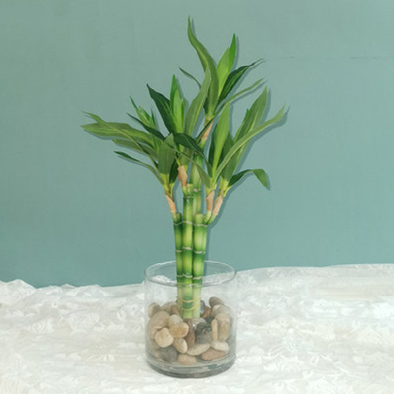 New 40cm Artificial Lucky Bamb - огляд і ціна Desk Setup Green