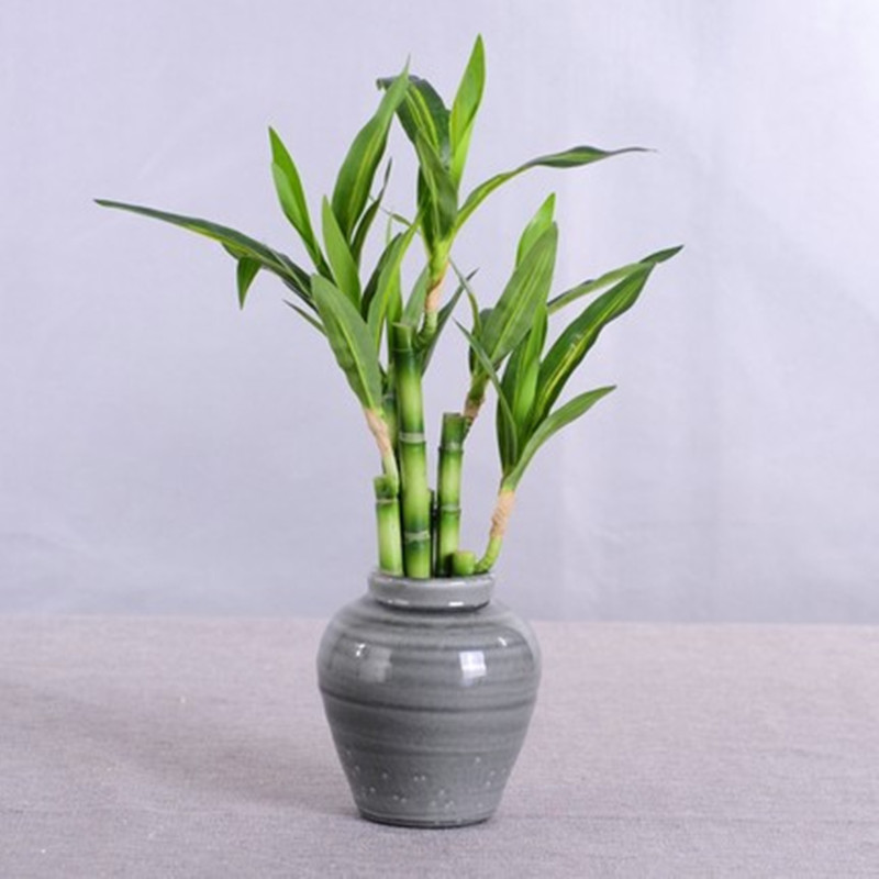 New 40cm Artificial Lucky Bamb - огляд і ціна Desk Setup Green