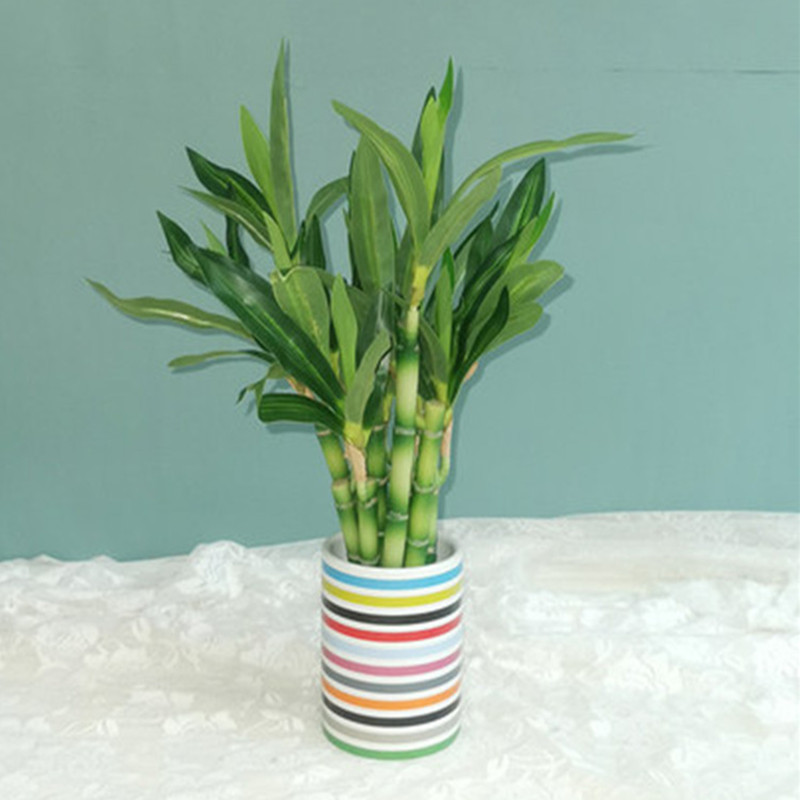 New 40cm Artificial Lucky Bamb - огляд і ціна Desk Setup Green