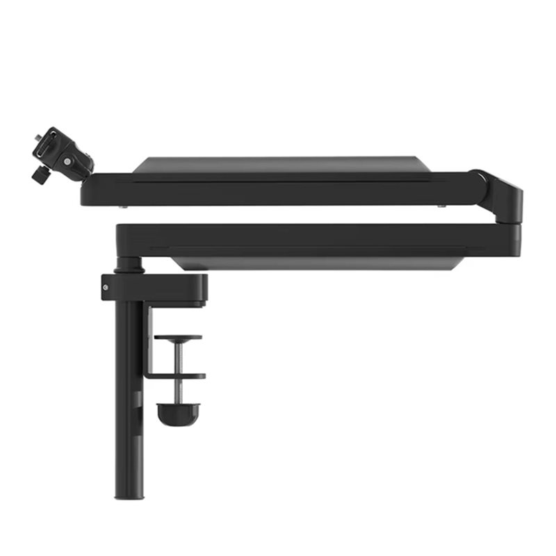 A99E-ZJ05 Adjustable Microphon - огляд і ціна Desk Setup With Mic